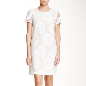 CeCe Floral Lace Shift Dress Sz 6